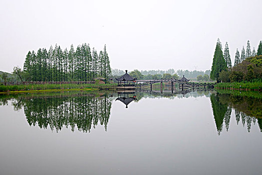 soi cau lo miên bac