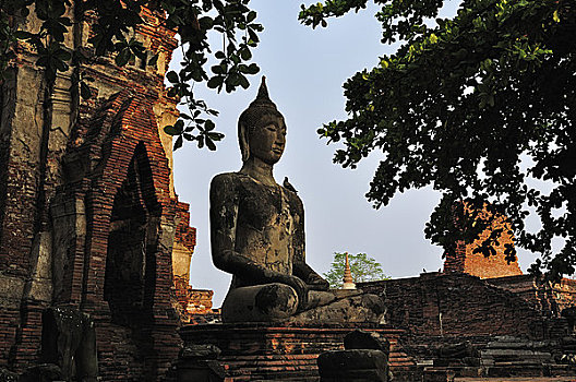 lo kep bach thu khung 3 ngay