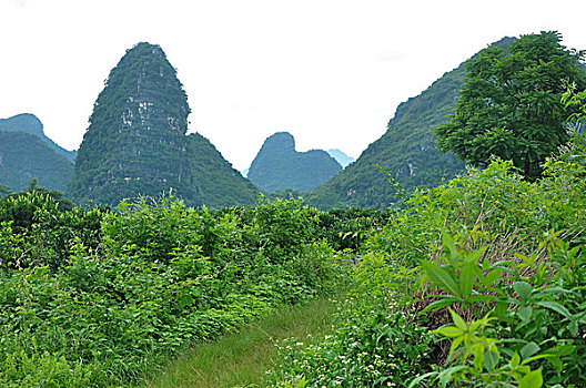 xổ số miền nam thứ 6 hàng tuần