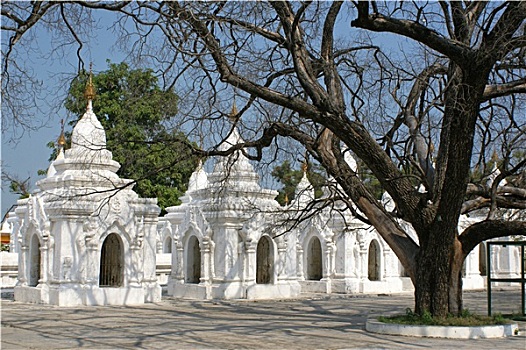 kết quả xổ số điện toán
